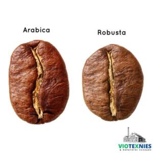 arabica h rodusta