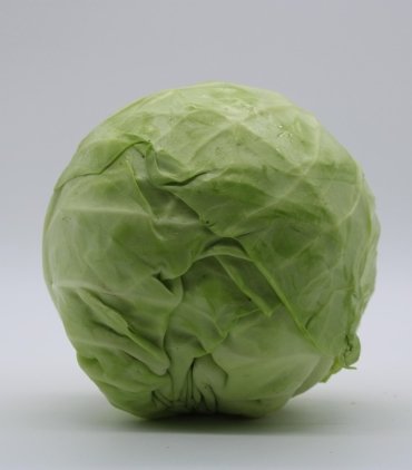 cabbage-7191817_1280