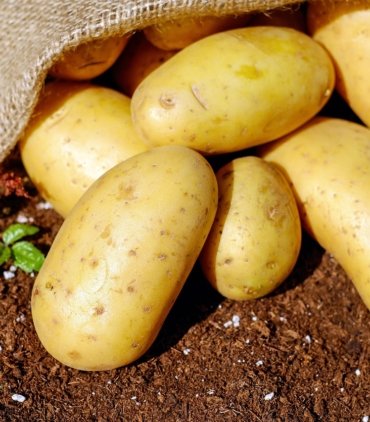 potatoes-1585075_1280
