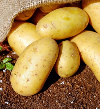 potatoes-1585075_1280