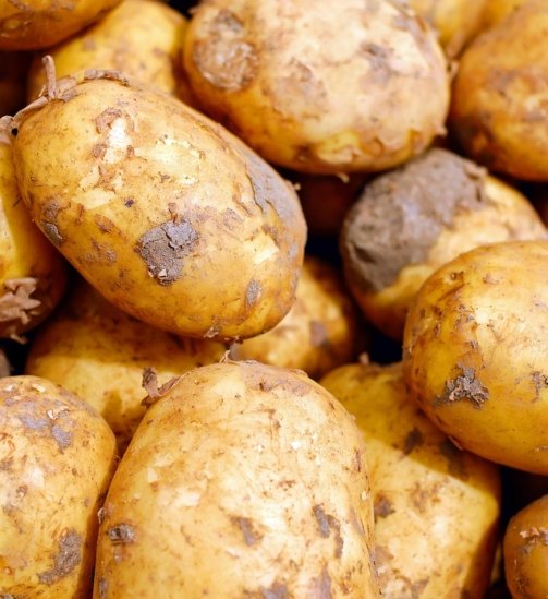 potatoes-2329648_1280
